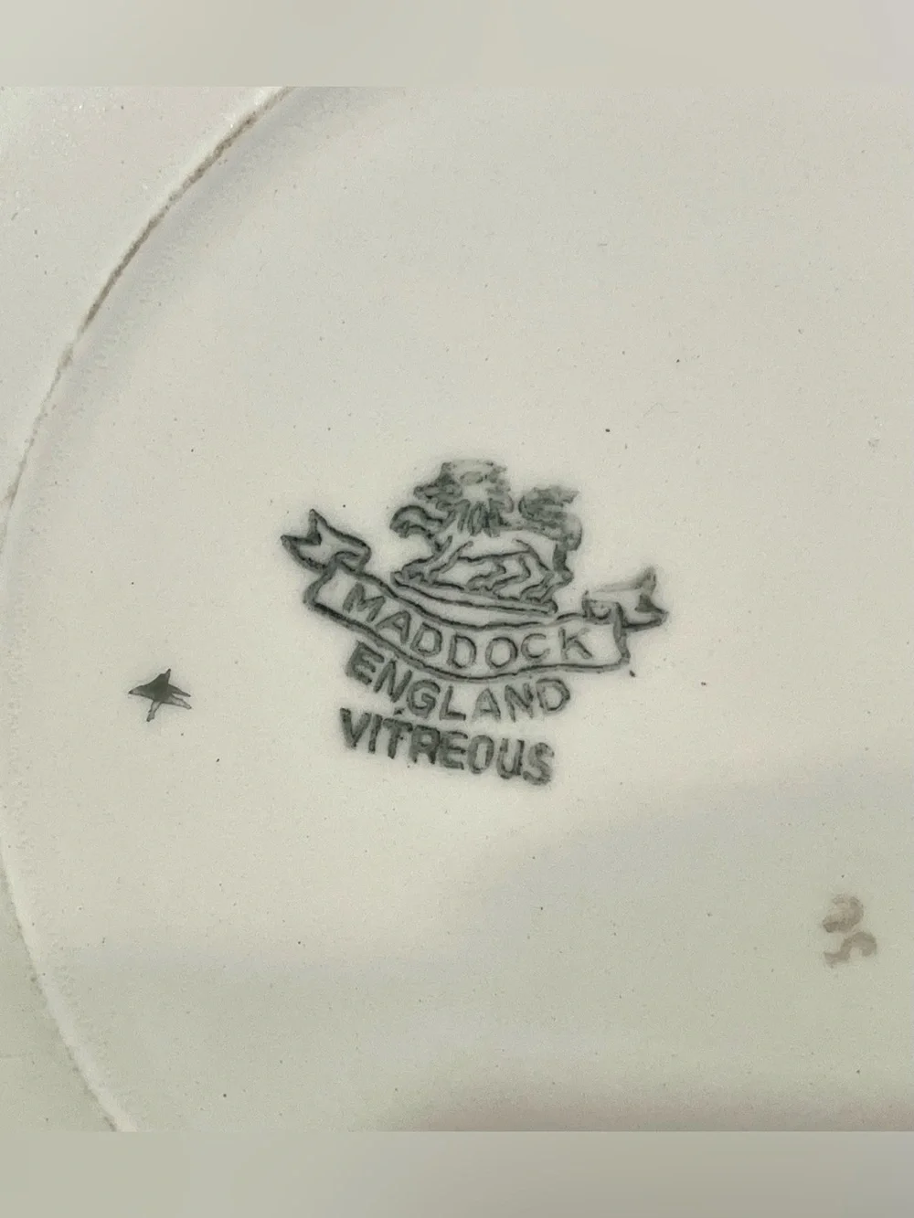 John Maddock & Sons “Indian Tree” Fine China Place Setting | Plate, Cup & Saucer